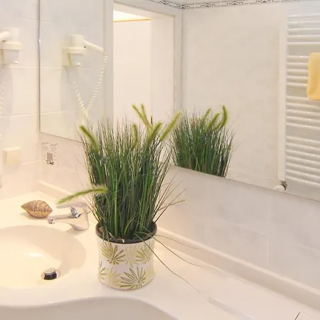 Seehotel Zur Muenz 酒店 梅尔斯堡