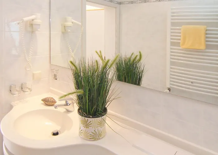 Seehotel Zur Muenz 酒店 梅尔斯堡