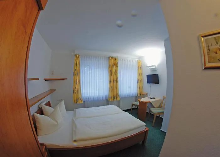 Seehotel Zur Muenz 酒店 3*