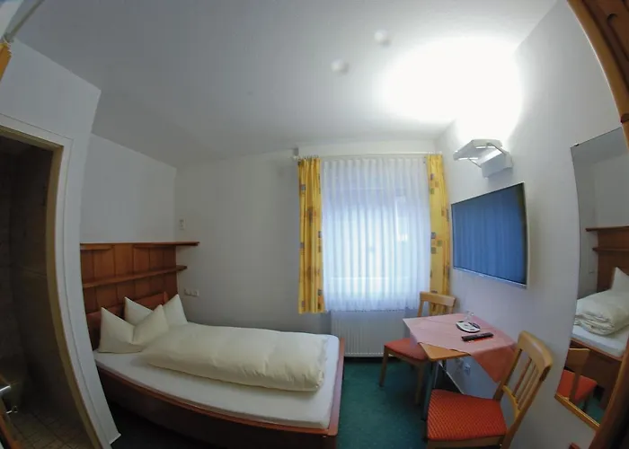 Seehotel Zur Muenz 3* 梅尔斯堡