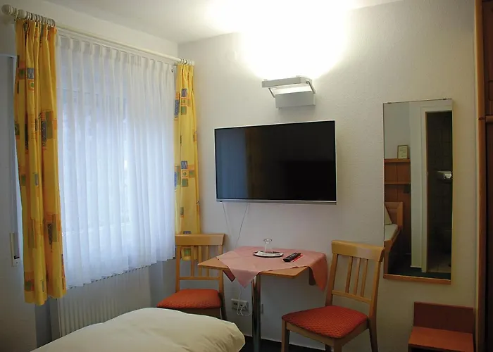 Seehotel Zur Muenz 酒店 3*