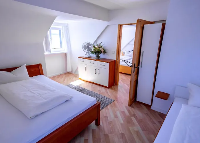 酒店 Seehotel Zur Muenz 3*