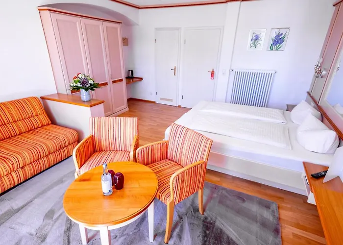 酒店 Seehotel Zur Muenz 梅尔斯堡