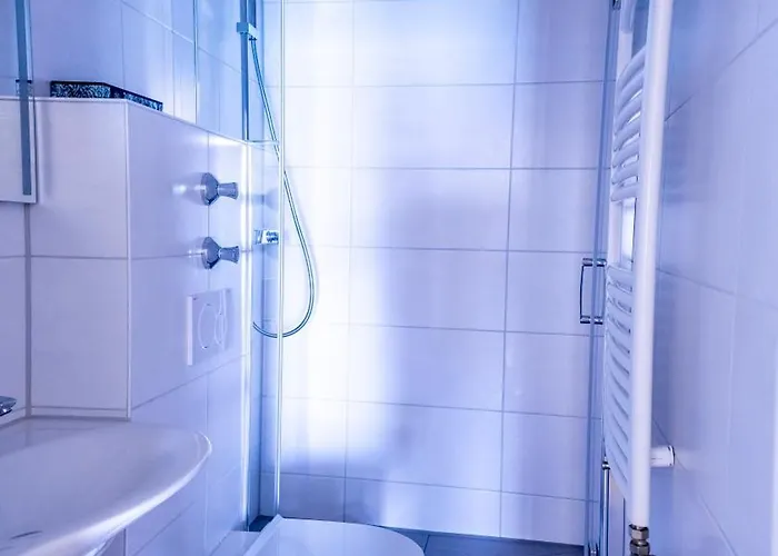 Seehotel Zur Muenz 3* 梅尔斯堡