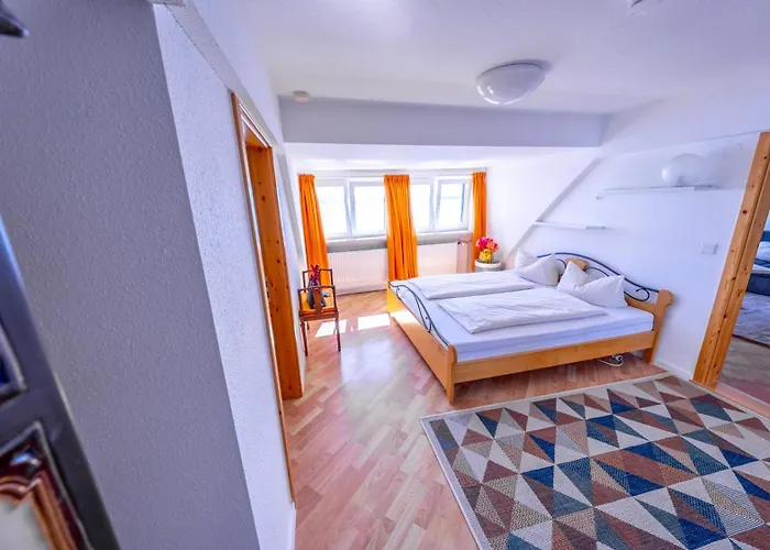 Seehotel Zur Muenz 酒店 梅尔斯堡